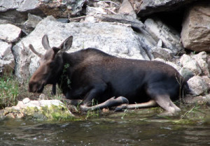 Going biking is number five on our things to do in Estes Park. 